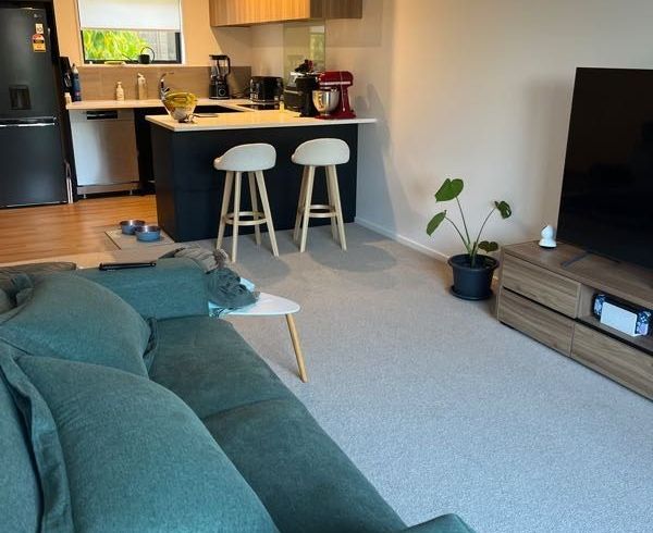  at 13/15 Bunyan Street, Waltham, Christchurch