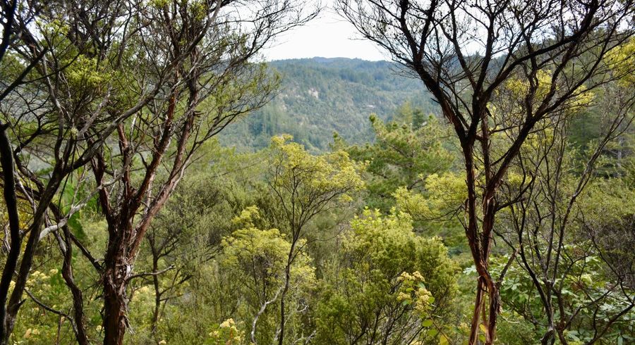  at Lot 4, 131b Paul Road, Tairua, Thames-Coromandel, Waikato