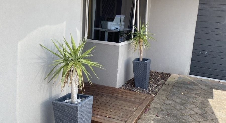  at 19 Lamia Grove, Papamoa, Tauranga, Bay Of Plenty