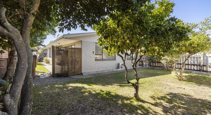  at 1/121 Scott Street, Blenheim, Blenheim, Marlborough
