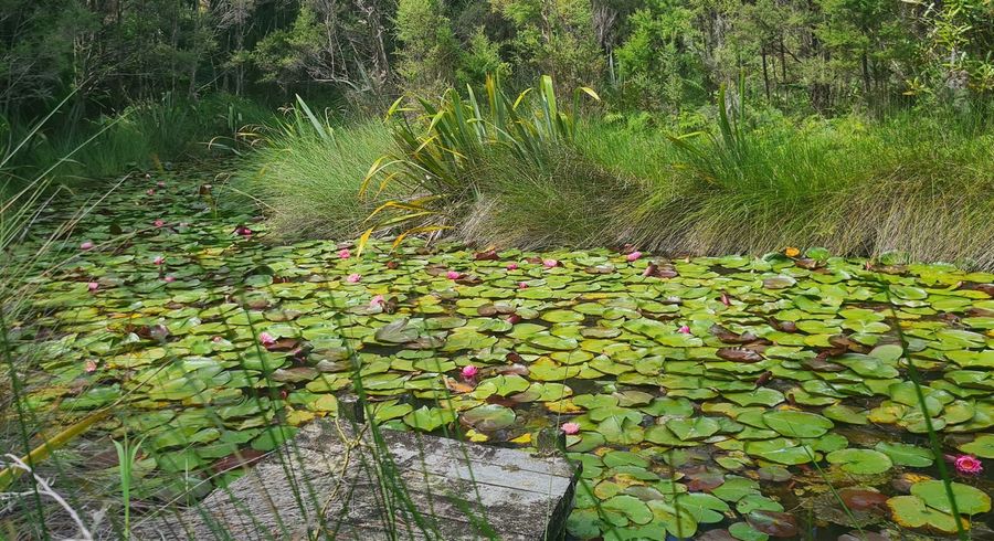 at 0 Garton Rd, Peria, Kaitaia