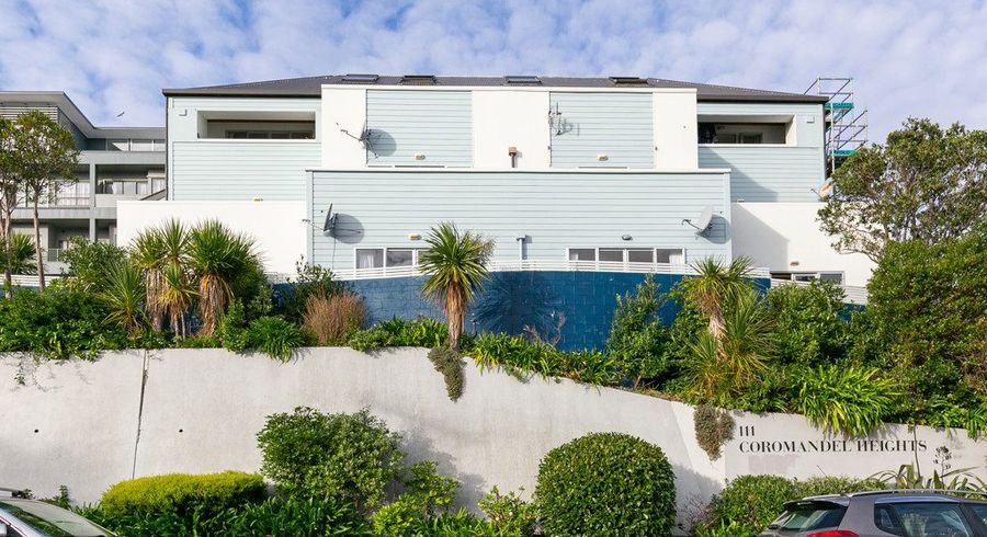  at 3/111 Coromandel Street, Newtown, Wellington, Wellington