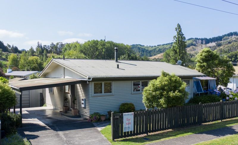  at 20 Massey Road, Mangapapa, Gisborne