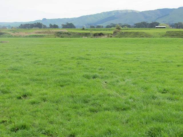  at 0 Gorge Road, Waimamaku, Kaikohe