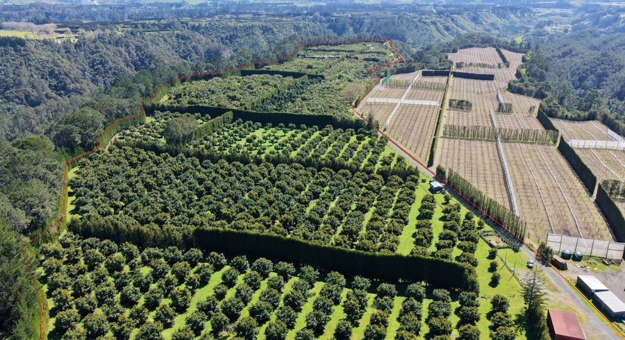  at 232C Williams Road, Pyes Pa, Tauranga, Bay Of Plenty