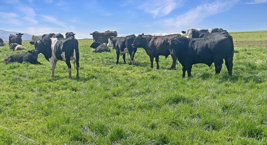  at 51 Saint Bathans Loop Road, Omakau, Central Otago, Otago