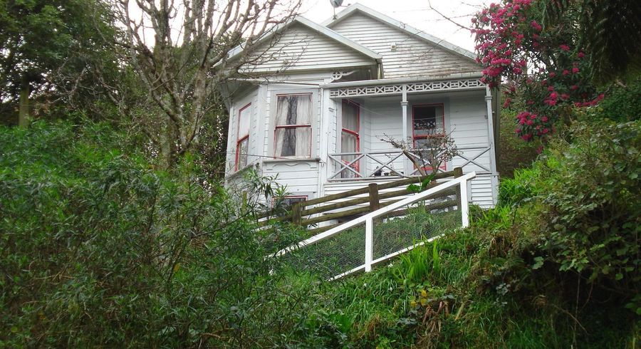  at 13 Mortimer Terrace, Aro Valley, Wellington