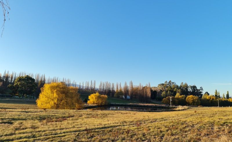  at 0 Blackman Road, Blackmans, Alexandra