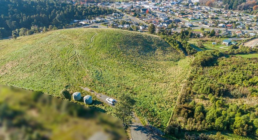  at 85 Pekapeka Lane, Geraldine, Timaru, Canterbury