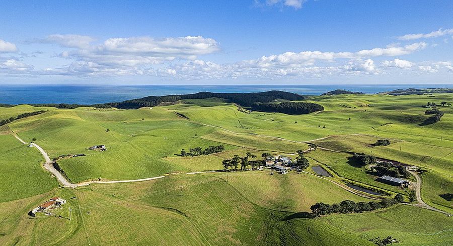  at 614 Te Maire Rd, Te Kopuru, Kaipara, Northland