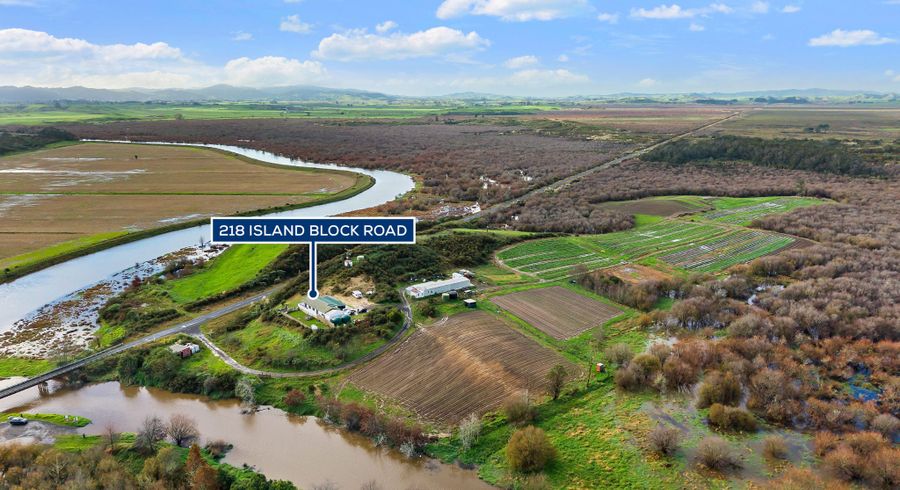  at 218 Island Block Road, Te Kauwhata, Waikato, Waikato