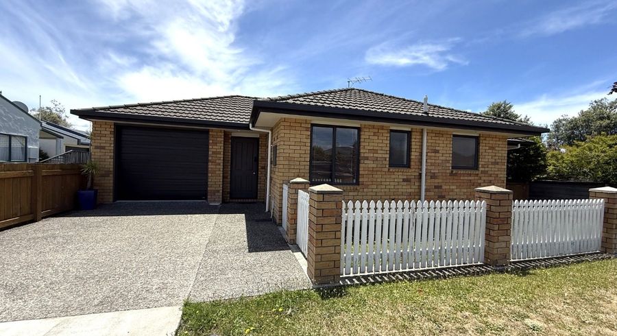  at 33 Litchfield Street, Redwoodtown, Blenheim, Marlborough