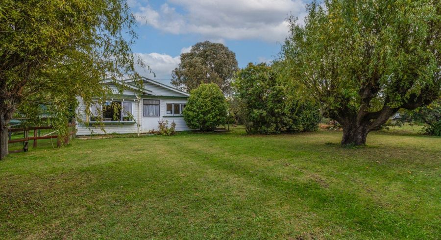  at 19 Grey Street, Bay View, Napier