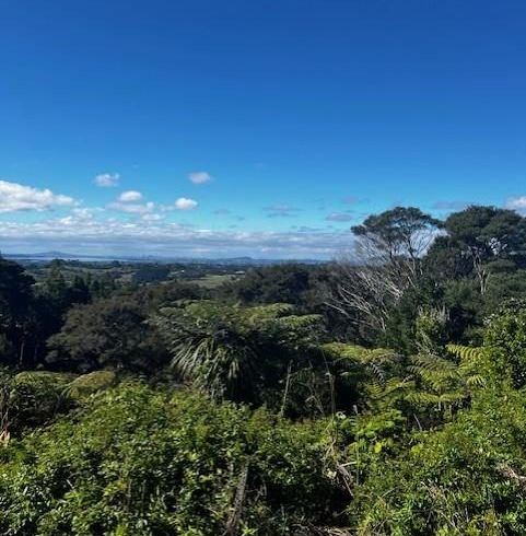  at 50 Kitewaho Road, Swanson, Waitakere City, Auckland