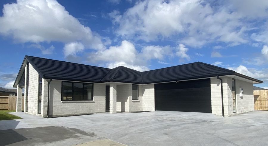  at 20 Tiaki Rise, Tikipunga, Whangarei