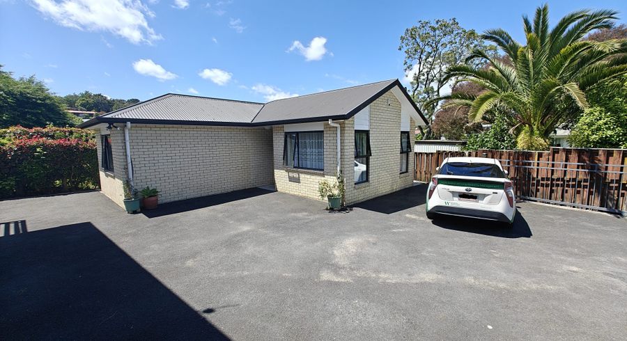  at 25 Caernarvon Street, Dinsdale, Hamilton