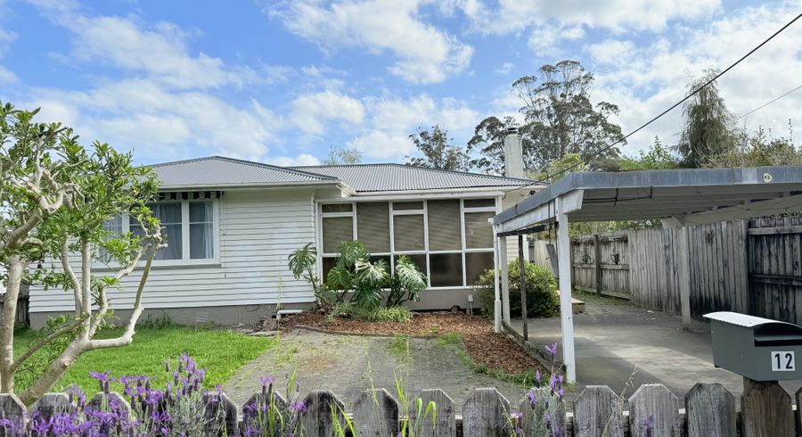  at 12 Sherrybrooke Place, Sunnyvale, Waitakere City, Auckland