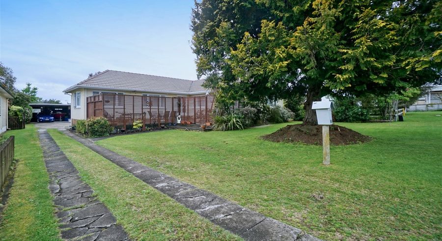  at 12 Princess Street, Te Puke, Te Puke