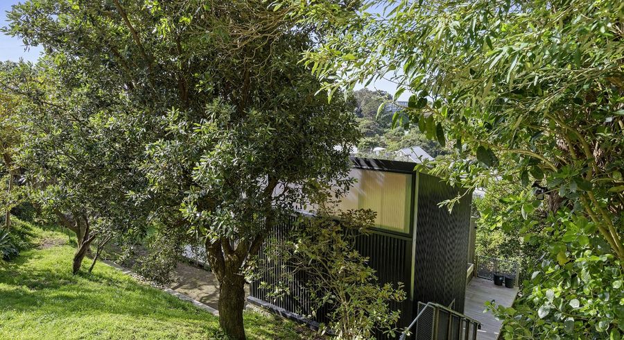  at 13 Hoggard Street, Vogeltown, Wellington