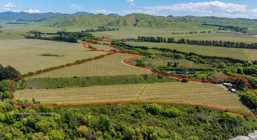  at 1681 Redwood Pass Road., Seddon, Marlborough, Marlborough