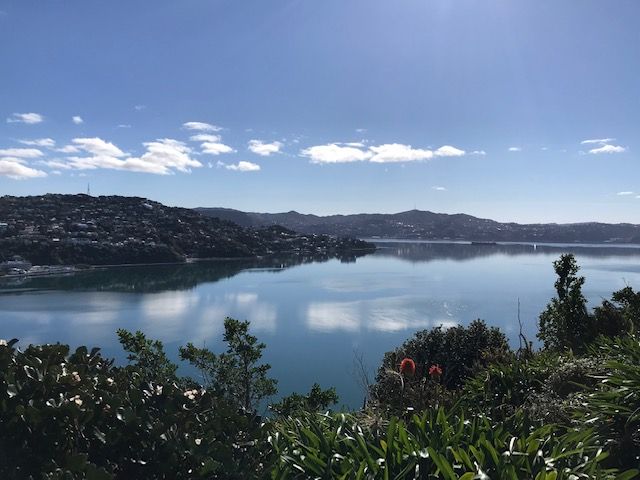  at 21 Rangitane Street, Maupuia, Wellington