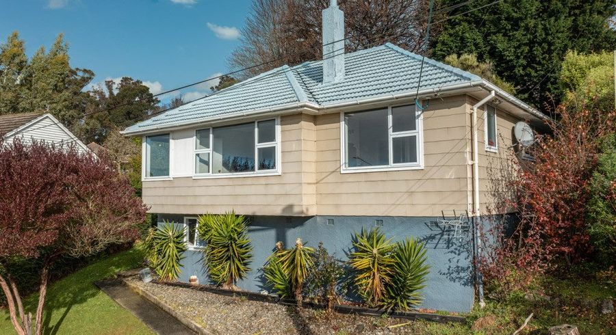  at 169 Brockville Road, Brockville, Dunedin