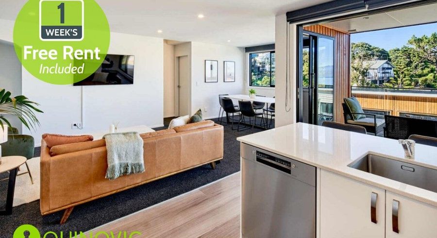  at 58 Rangiora Avenue, Wellington Central, Wellington, Wellington