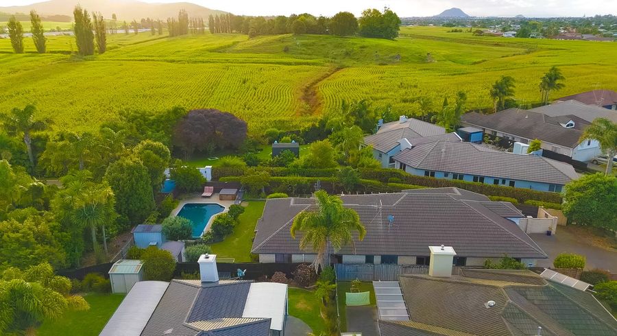  at 24 St Heliers Place, Papamoa Beach, Papamoa