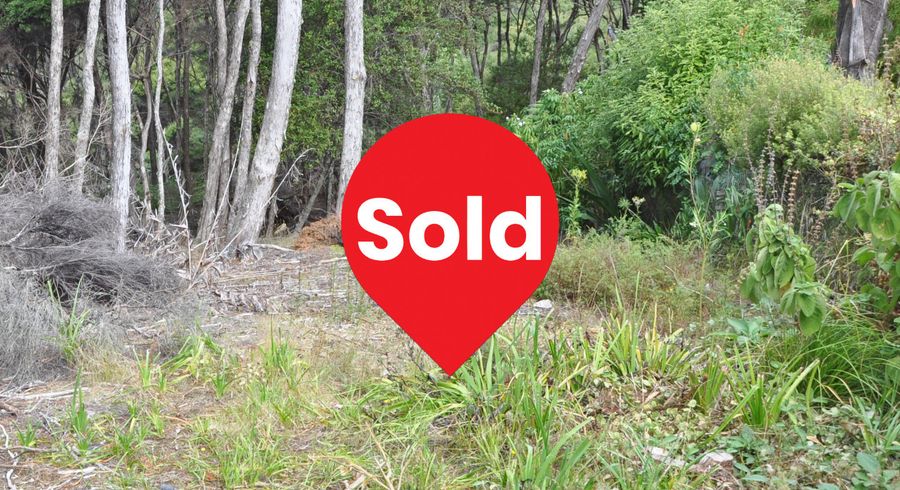  at 6 Lavinia Place, Kawau Island