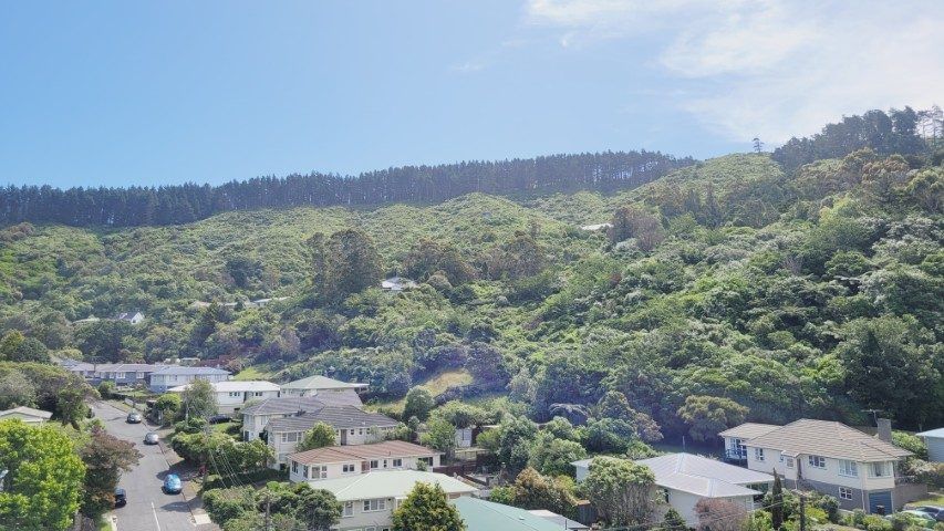 at 35 Olivia Crescent, Tawa, Wellington, Wellington