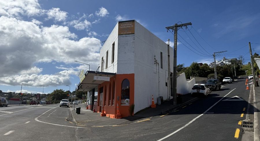 at 17A Hereford Street, Roslyn, Dunedin, Otago