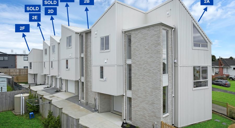  at 2A, 2B, 2F Marion Avenue, Mount Roskill, Auckland City, Auckland