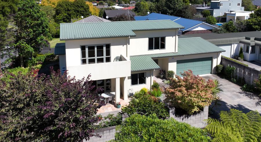  at 20 Ranfurly Avenue, Fairfield, Hamilton