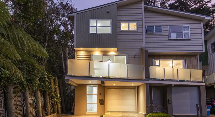  at 1A Anderson Terrace, Mount Cook, Wellington