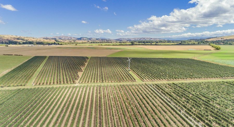 at 359 Dakins Road, Carterton, Carterton, Wellington