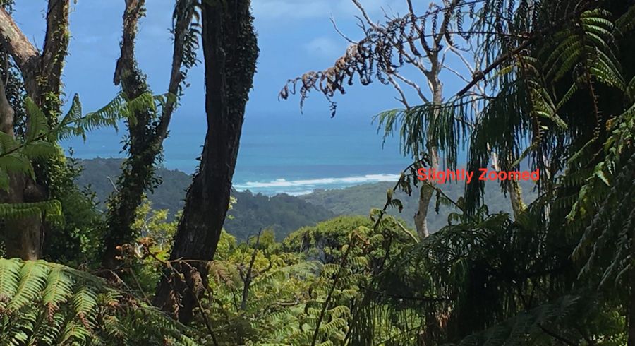  at 233 Piha Road, Piha, Waitakere City, Auckland