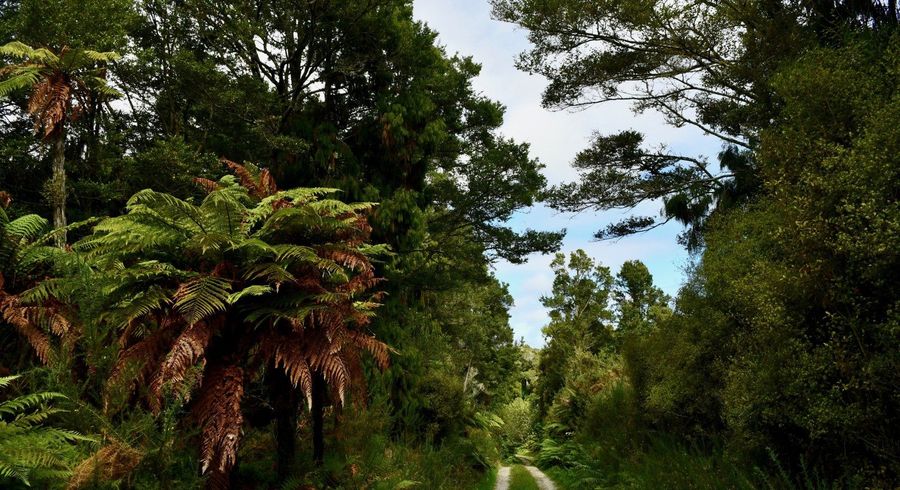  at 70 Sunset Heights Road, Karamea, Buller, West Coast