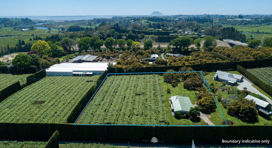  at 154B Wairoa Road, Te Puna, Western Bay Of Plenty, Bay Of Plenty