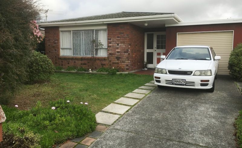  at 17 Andrew Street, Waikanae