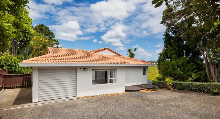  at 46C Fairlands Avenue, Waterview, Auckland City, Auckland