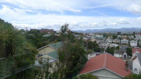  at Top/3 Rakau Road, Hataitai, Wellington, Wellington