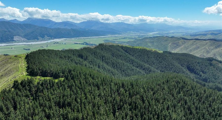  at Wairau Valley Road, Wairau Valley, Marlborough, Marlborough
