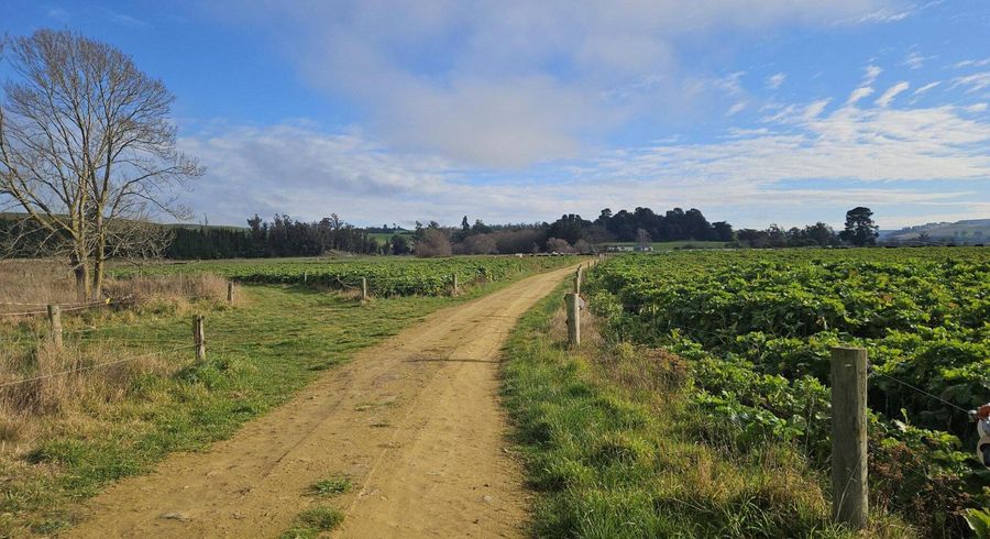  at Balruddery Road, Oamaru, Waitaki, Otago