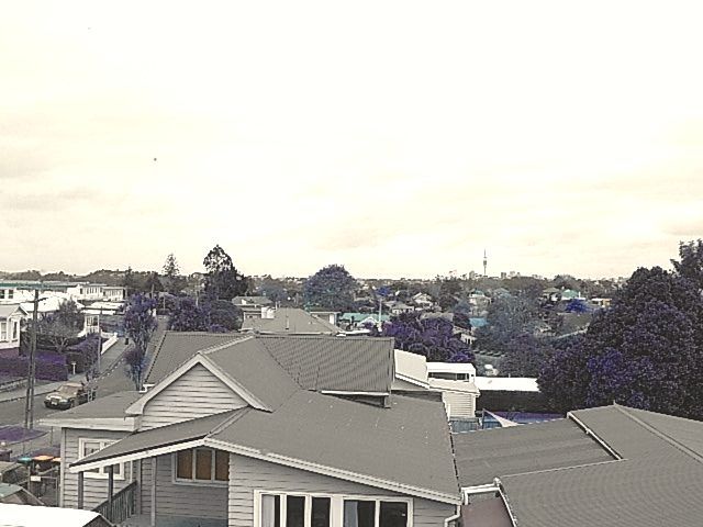  at 222a Carrington Road, Mount Albert, Auckland City, Auckland