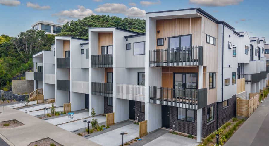  at 17 Tahepuia Lane, Mount Wellington, Auckland City, Auckland