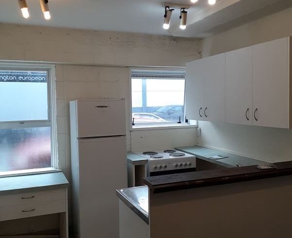  at 17 King Street, Mount Cook, Wellington, Wellington