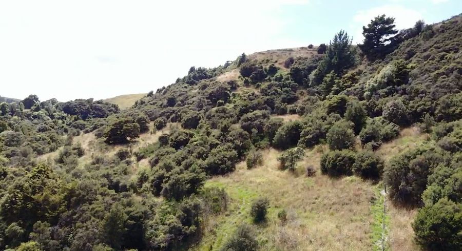  at 2244 A Te Ore Ore Bideford Road, Masterton, Masterton, Wellington