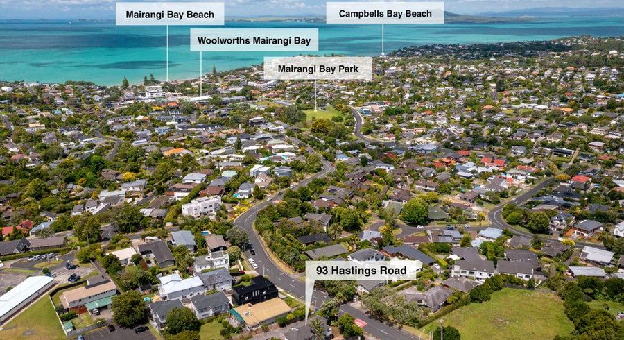  at 93 Hastings Road, Mairangi Bay, North Shore City, Auckland