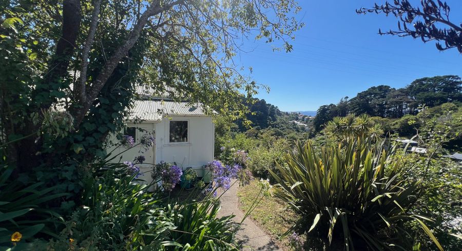  at 7 Mount Pleasant Road, Aro Valley, Wellington