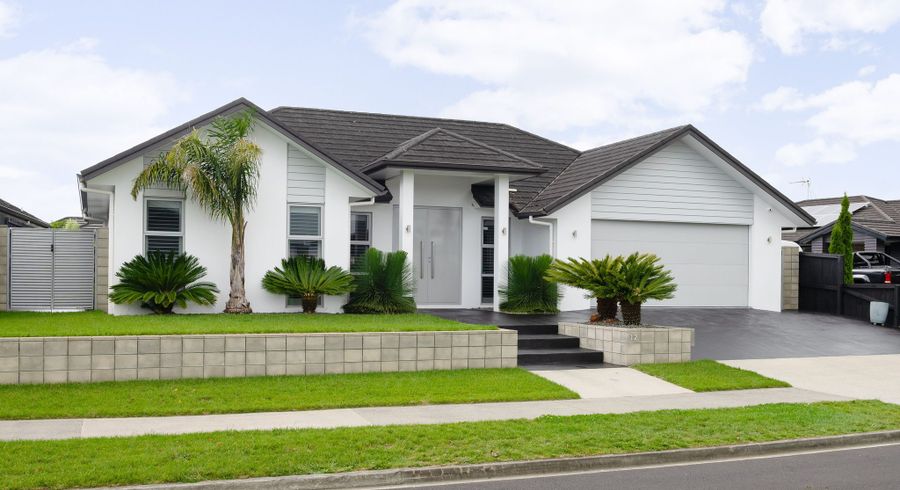  at 12 Brad Avenue, Flagstaff, Hamilton